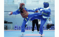 Đẩy mạnh phát triển phong trào vovinam tại các tỉnh phía Bắc