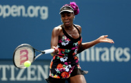 Venus Williams 'tẩy chay' Miami