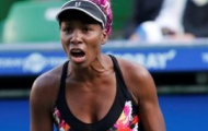 Video: Venus Williams, người sở hữu cú giao bóng nhanh nhất năm 2013
