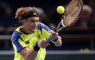 David Ferrer bi quan về khả năng giành Grand Slam