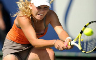 Wozniacki bất ngờ bỏ Brisbane International