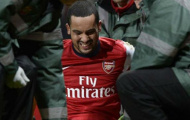 Wenger không sợ chấn thương sẽ hủy hoại sự nghiệp của Walcott