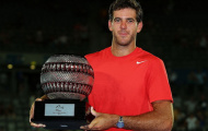 Chung kết Apia International Sydney 2014 - Del Potro lên ngôi