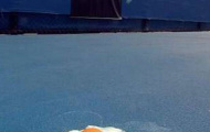 Djokovic tráng trứng tại Úc mở rộng
