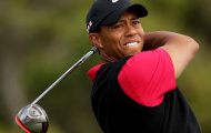 Tiger Woods cán mốc thu nhập 83 triệu USD trong năm 2013
