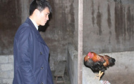 Công Vinh tranh thủ về thăm nhà dịp Tết