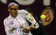 Giải quần vợt Qatar Open 2014: Ấn tượng Venus Williams