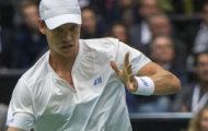 Video ABN Amro 2014: Berdych lên ngôi thuyết phục