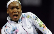 Video Qatar Open 2014: Pha kê vợt nhạy cảm của Venus Williams