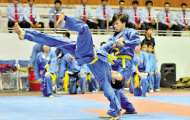 Vovinam còn cơ hội góp mặt tại SEA Games 28-2015
