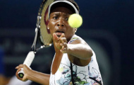 Dubai Championships 2014: Con số 11 may mắn của Venus
