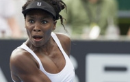 Video Dubai Tennis Championships: Diễn biến ngày thi đấu thứ 3
