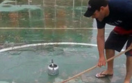 'Bi đá trên băng' độc nhất thế giới