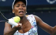 Video Dubai Tennis Championship 2014: Venus Williams - Flavia Pennetta