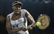 Chùm ảnh: Venus Williams lên ngôi thuyết phục tại Dubai 2014
