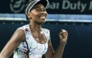 Video Dubai Tennis Championship 2014: Venus 'hủy diệt' Cornet
