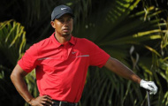 Golf: Tiger Woods sắp mất ngôi số 1 thế giới