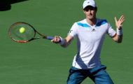 Murray: Tương lai Wimbledon là ở Indian Wells