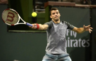 Khả năng phản công tuyệt vời của 'Tiểu Federer' Dimitrov