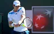 Murray: 'Tôi thua vì Federer đã chơi tốt'
