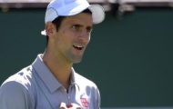 Video: Top 5 pha bóng hay nhất Indian Wells 2014