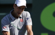 Video Miami Masters: Djokovic - Chardy