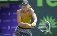Tứ kết Miami Masters: Sharapova thoát hiểm, chờ gặp Serena tại bán kết