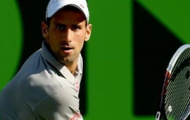 Video Miami Masters 2014: Djokovic - Robredo