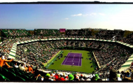 Sốc: Phát hiện túi đựng bom tại Miami Masters  2014