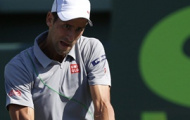 Video Miami Masters 2014: Djokovic - Murray