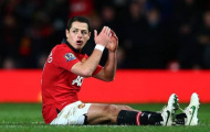 Javier Hernandez mất World Cup 2014?