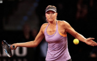 Hủy diệt Errani, Sharapova vào chung kết Stuttgart