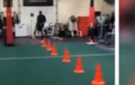 Video: Luol Deng phô tài dẫn bóng cực chất