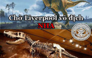 Cư dân mạng chế ảnh đùa cợt Liverpool