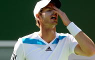 Murray muốn mời tay vợt từng 7 lần vô địch Grand Slam làm HLV