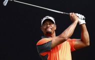 Điểm tin thể thao 31/05: Tiger Woods lỡ giải US Open