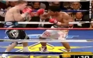 Video: 50 cú knock-out đáng sợ nhất làng quyền anh