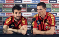 Torres nói Chelsea cần mẫu cầu thủ như Fabregas