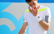 Hướng đến Wimbledon 2014: Mong manh giấc mơ M2M