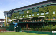 Xem các sao lớn tập luyện trước thềm Wimbledon
