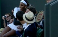 Video Wimbledon: Serena bay thẳng vào đám đông sau nỗ lực cứu bóng