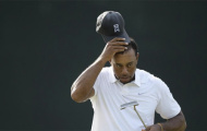 Tiger Woods bị cắt loại ở Quicken Loans National