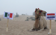 Lạc đà “tiên tri” dự đoán kết quả trận quyết chiến Hà Lan-Mexico