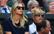Sharapova mặt mày nhăn nhó nhìn Dimitrov ngã đau