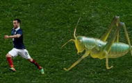 Tuyển thủ Pháp Mathieu Valbuena bị 'dìm hàng' vì chiều cao khiêm tốn
