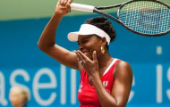 Venus Williams giỏi kinh doanh