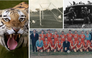 Việt Nam, Dallas Tornado và chuyến du đấu kỳ dị