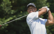 Tiger Woods kịp bình phục và tham dự US PGA 2014