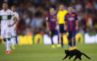 Mèo đen xuất hiện làm náo loạn cả sân Camp Nou
