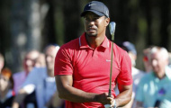 Tiger Woods tuột dốc vì lười tập luyện